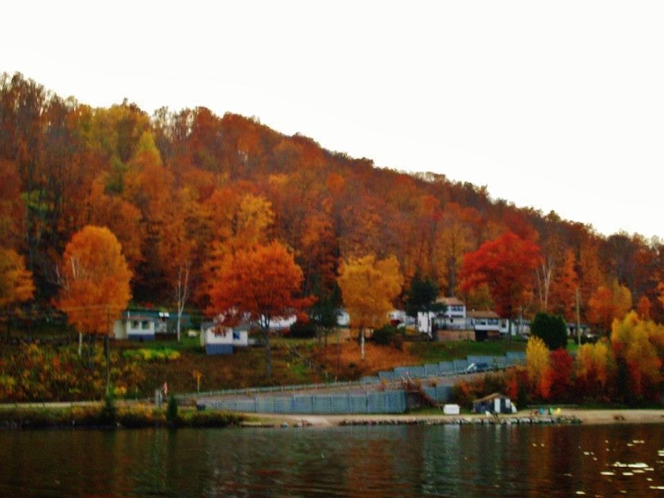 Silver Springs Cottage Resort Harcourt Exterior foto
