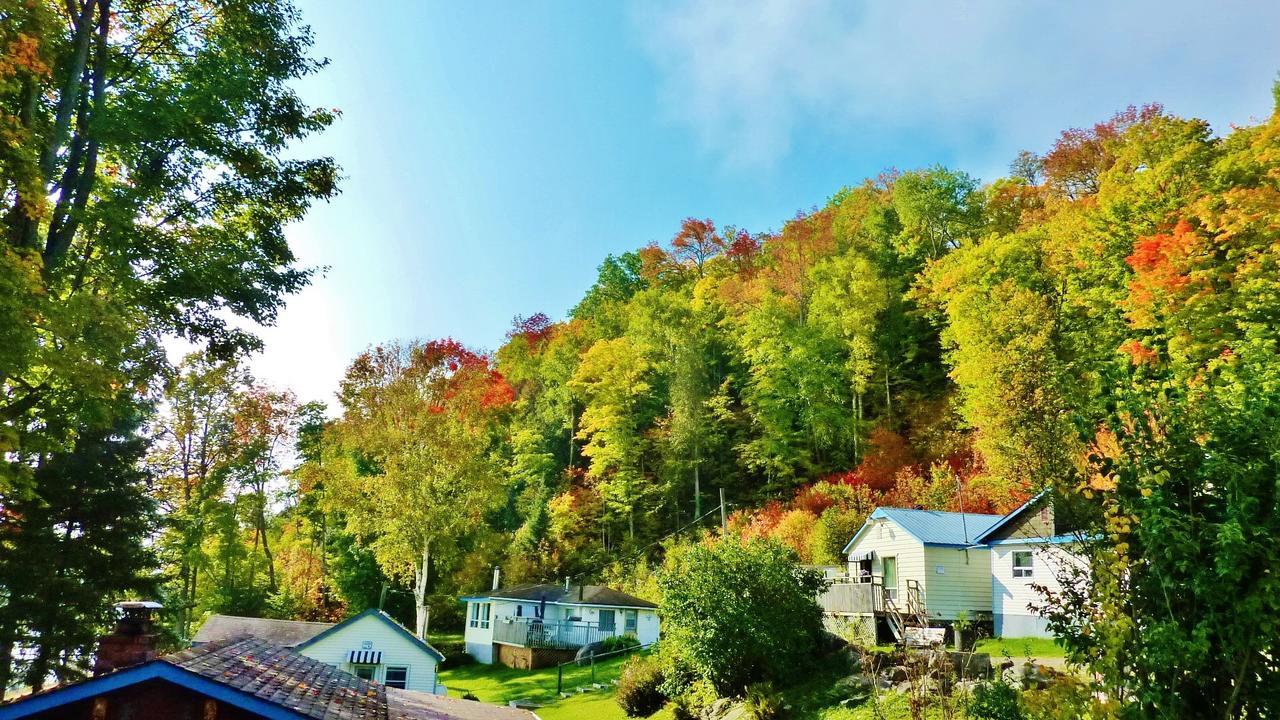 Silver Springs Cottage Resort Harcourt Exterior foto